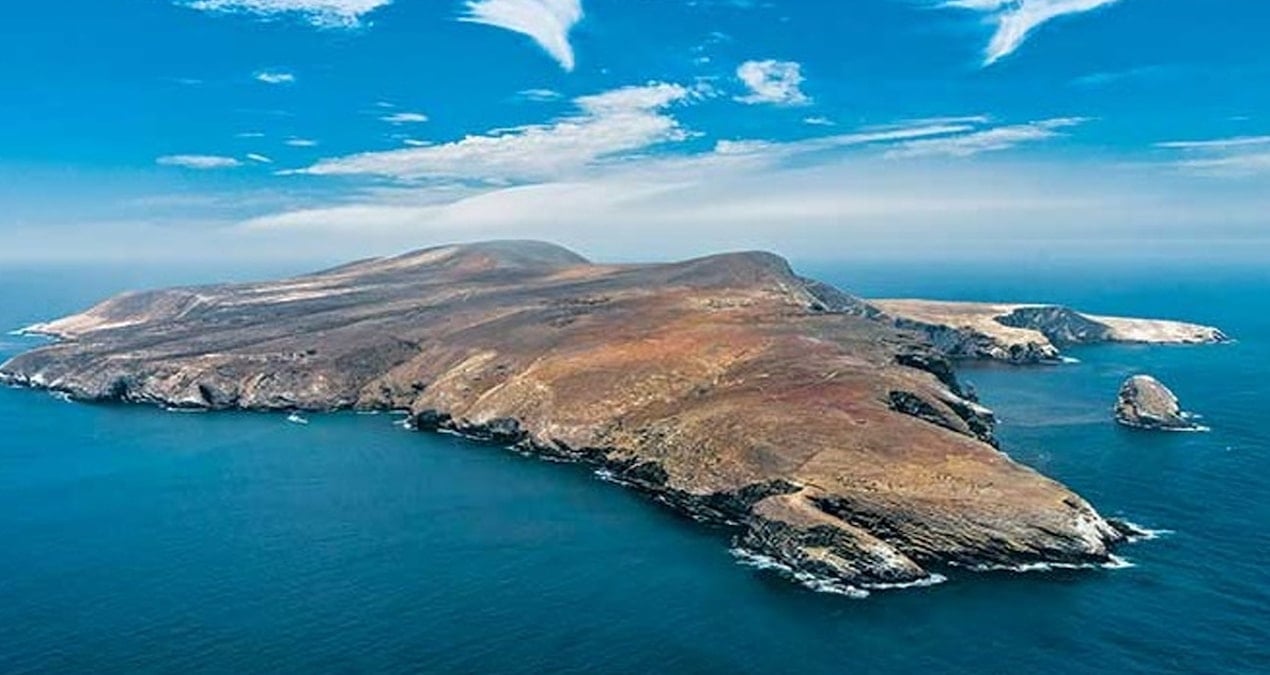 250 yıldır tek damla su içmeden bu ıssız adada yaşıyorlar