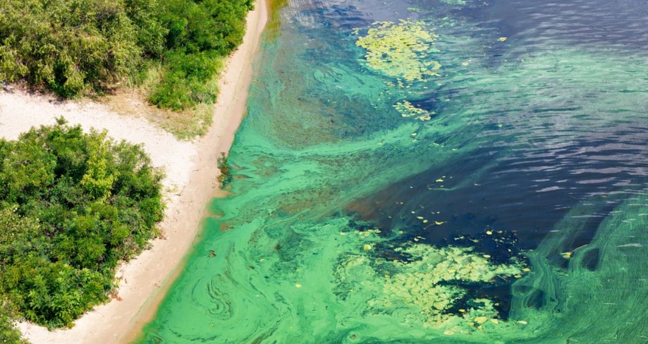 Okyanustan gelen tehlike büyüyor: Milyarlarca insan risk altında