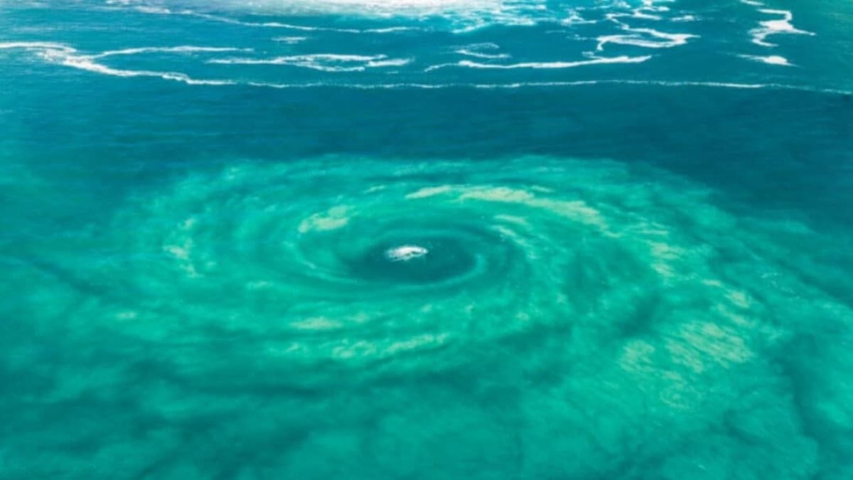 Üzerinde yüzeni içine çekiyor: Denizin altındaki görünmez tehlike tesadüfen görüntülendi