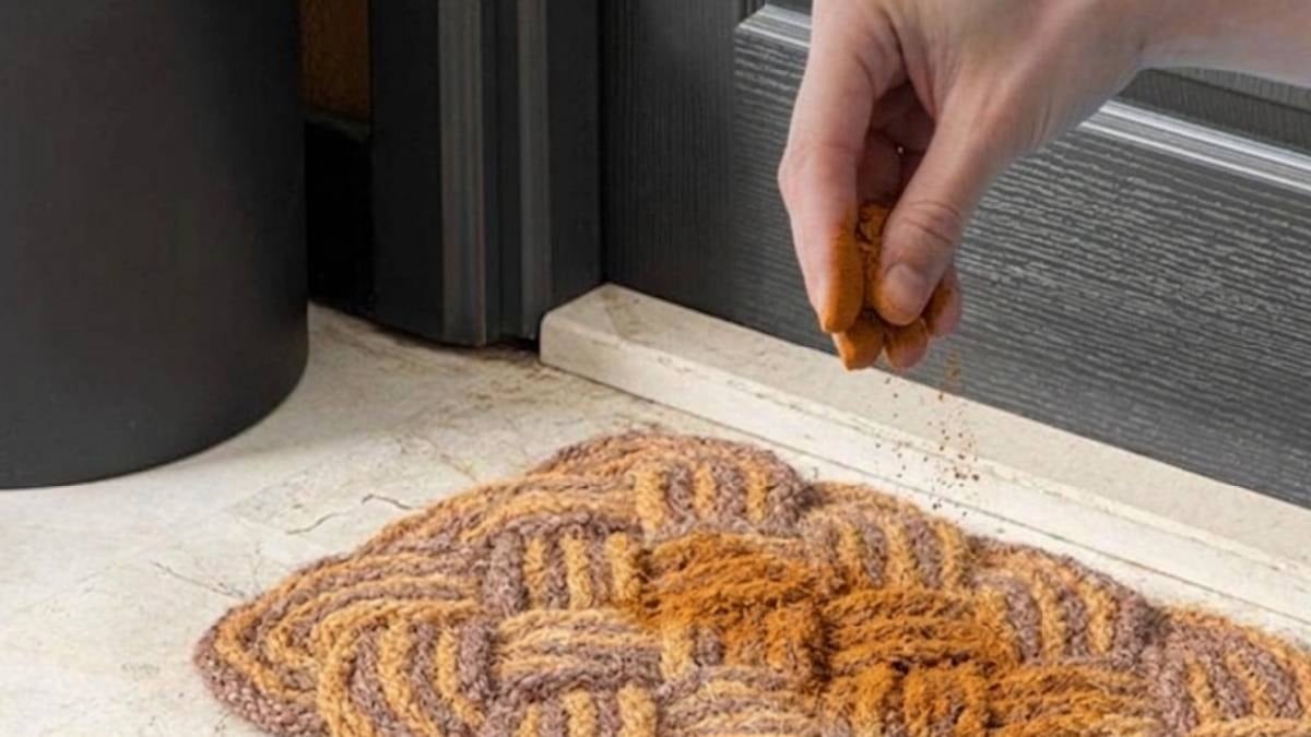 Kapıya bir avuç tarçın serpin o sorundan sonsuza dek kurtulun