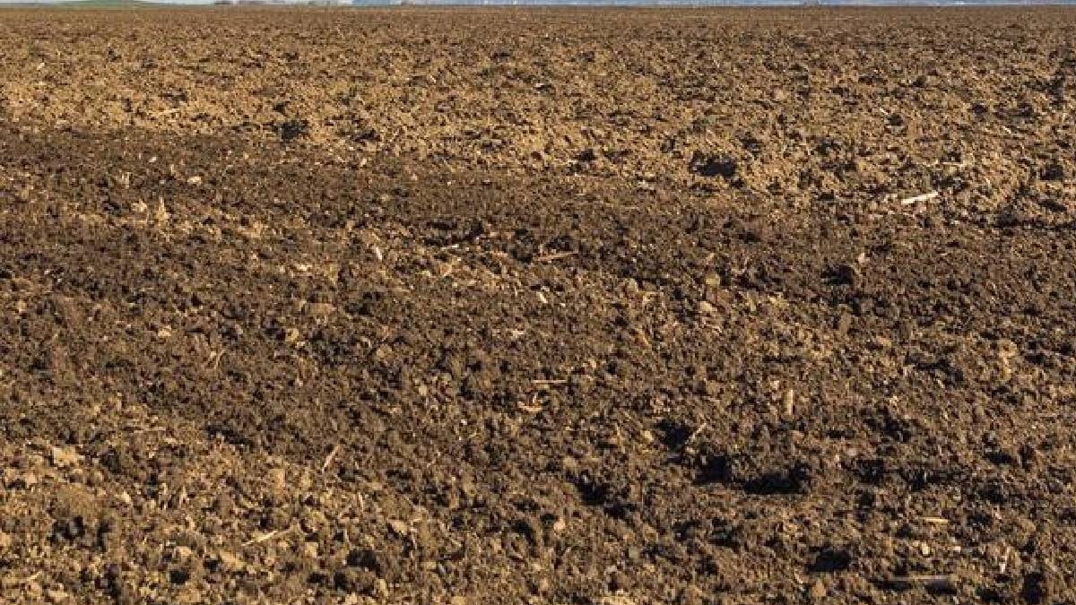 Tarlada gezerken 1000 yılık tılsımlı hazine buldu