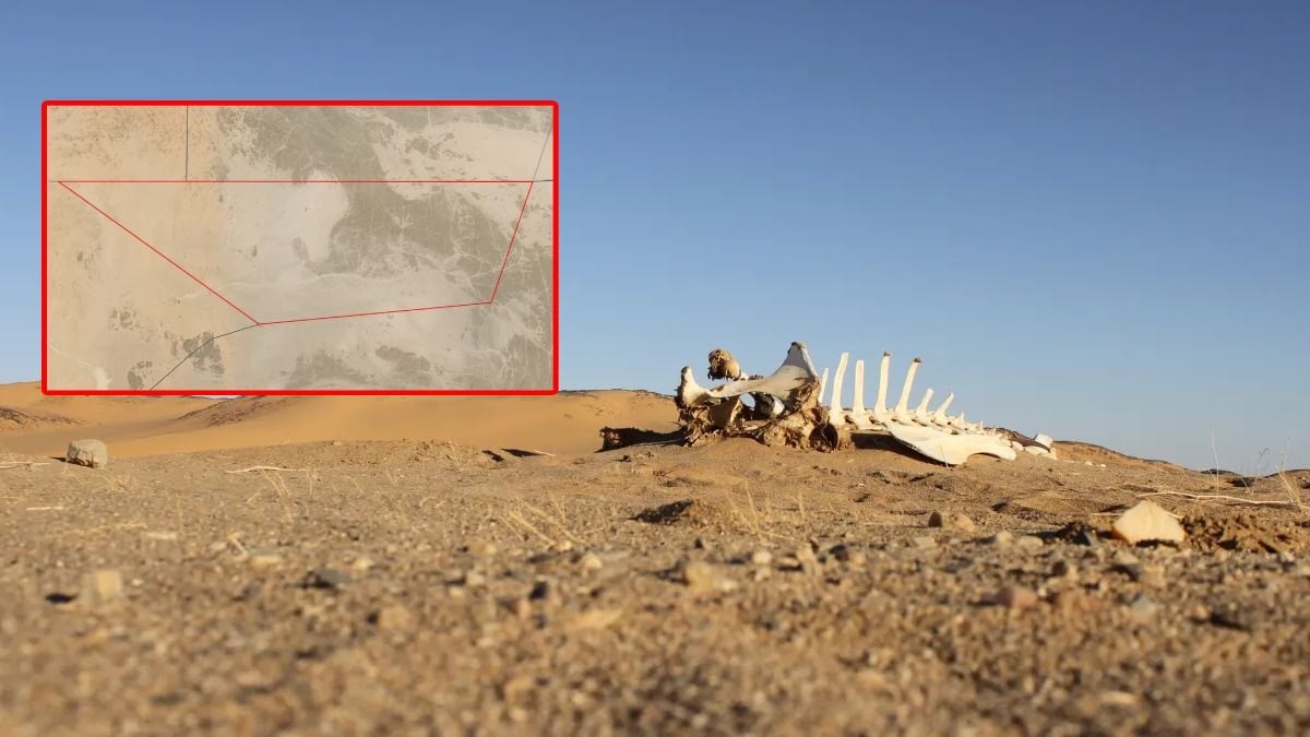 Dünyada hiçbir ülke o toprakları istemiyor!