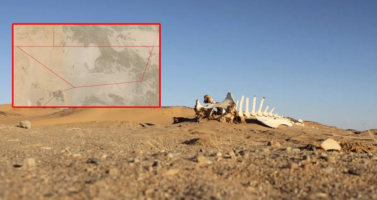 Dünyada hiçbir ülke o toprakları istemiyor! Haritada var ama kimse sahiplenmiyor