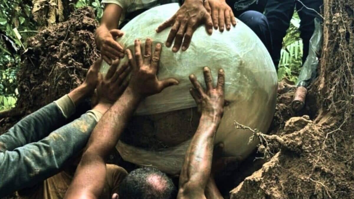 Ormanın derinliklerinde gizemli dev toplar bulundu: Herkes altın çıkacak sandı bakın ne çıktı