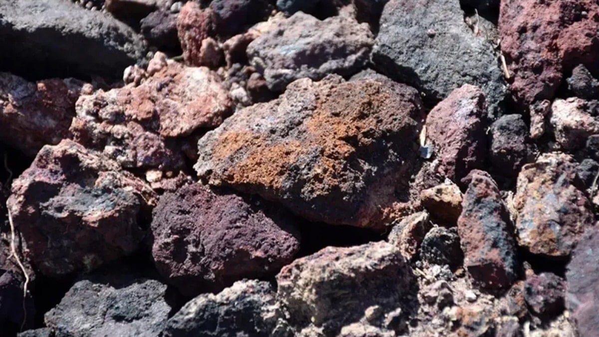 Avrupa'nın en büyük hazinesi artık devletin koruması altında