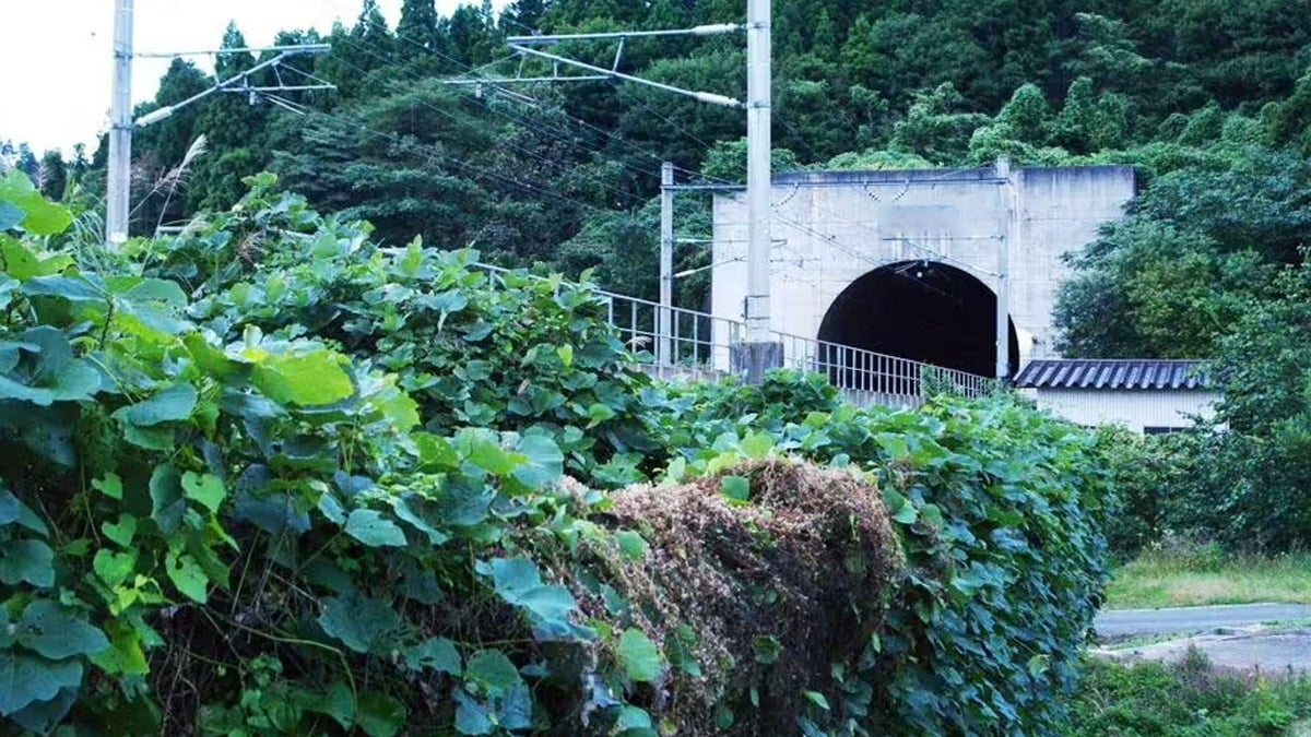 Dünyanın en uzun tüneli 24 yıl sonra tamamlandı