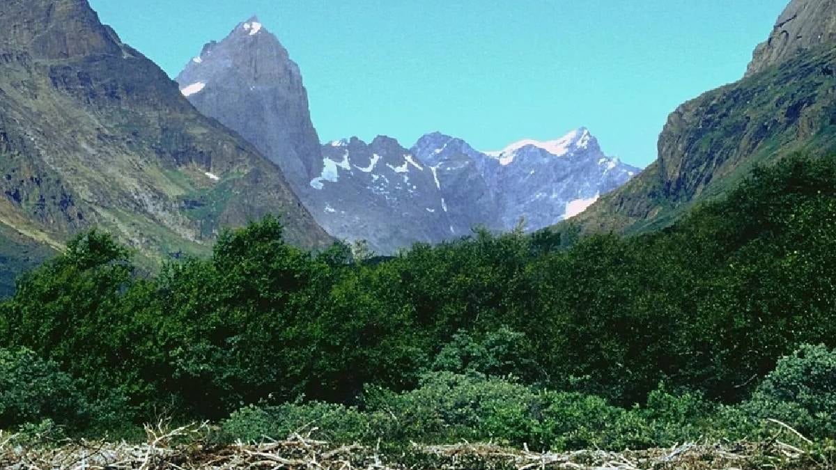 Dört bir yanı buzlarla çevrili ülkenin gizli hazinesi: Yemyeşil bir cennet