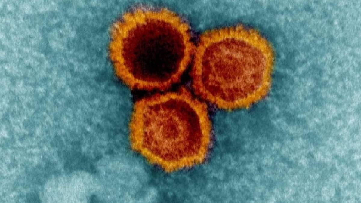 Doğanın en tehlikeli parazitleri: Organların yerini alıp zihni kontrol ediyor