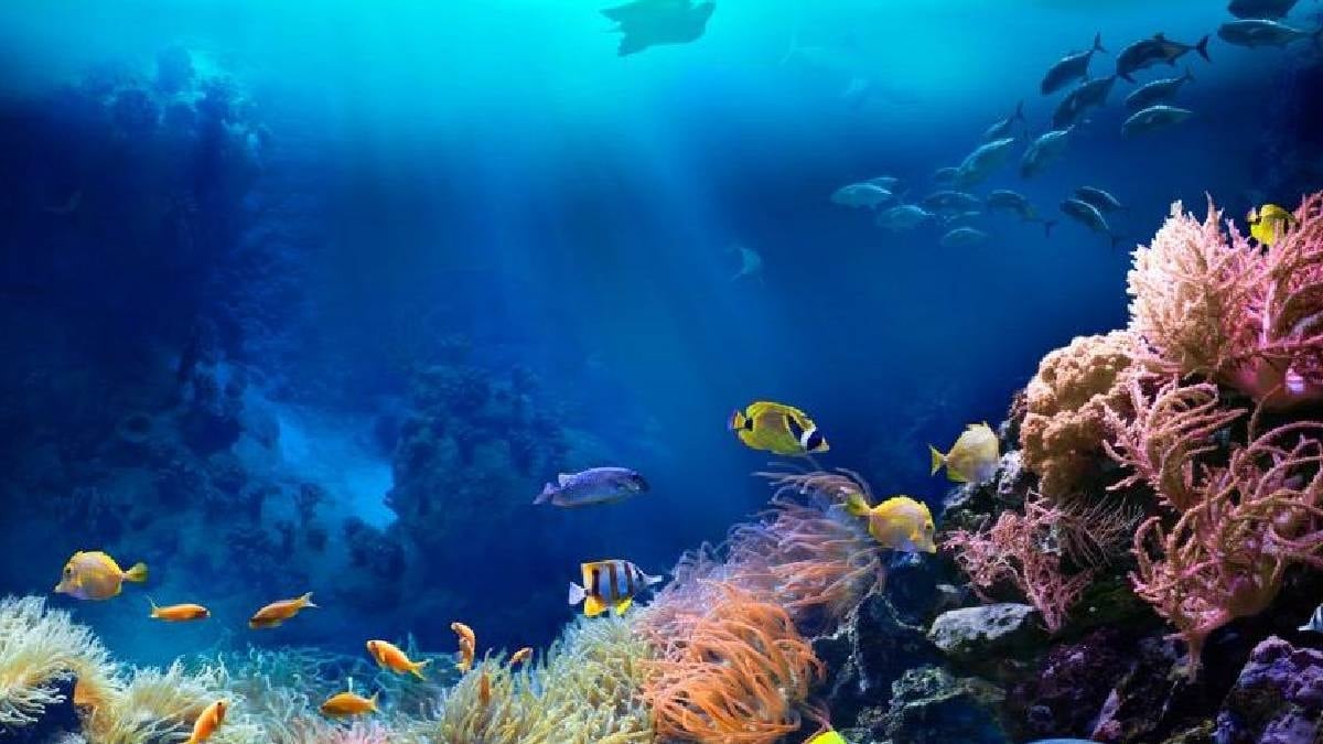 Hem ışık saçan hem de kopan kollarını hızla yenileyen yaratık keşfedildi