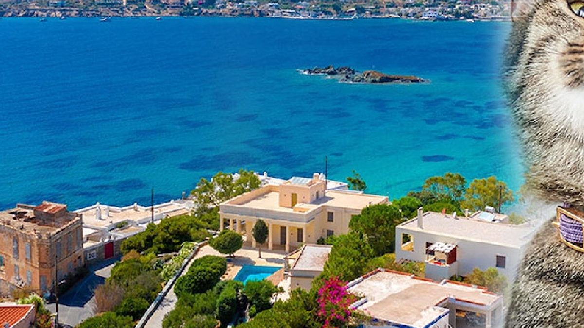 Bu adaya taşınana bedava yaşama imkanı: Tek bir şartı var