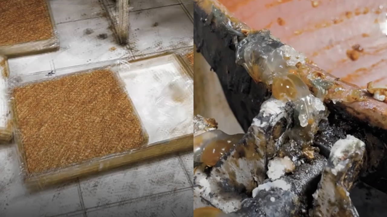 Lokum üretilen evde iğrenç görüntüler