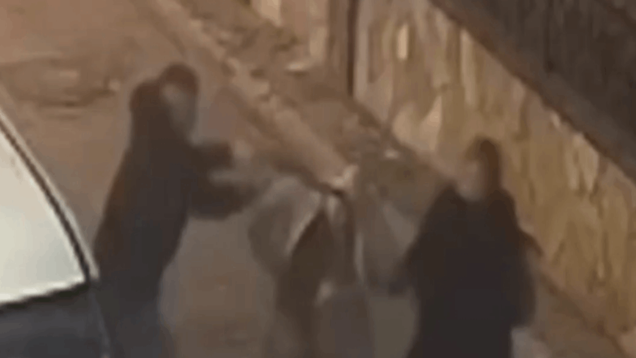 Adres sorma bahanesiyle kolye çaldı