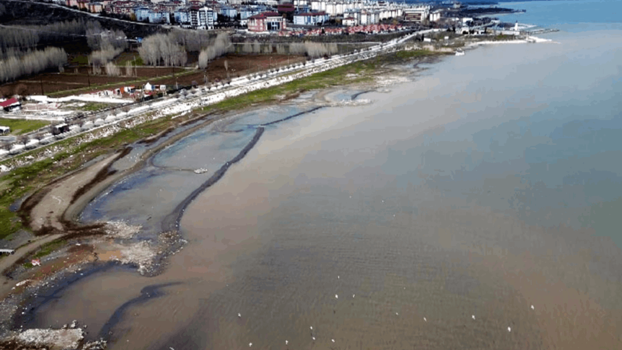 Van Gölü kıyılarında suyun rengi kahverengiye döndü