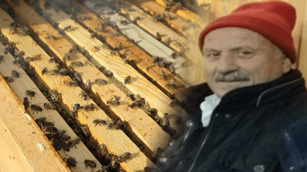 Kovana bakım yaparken canından oldu: Arı boğazından soktu!