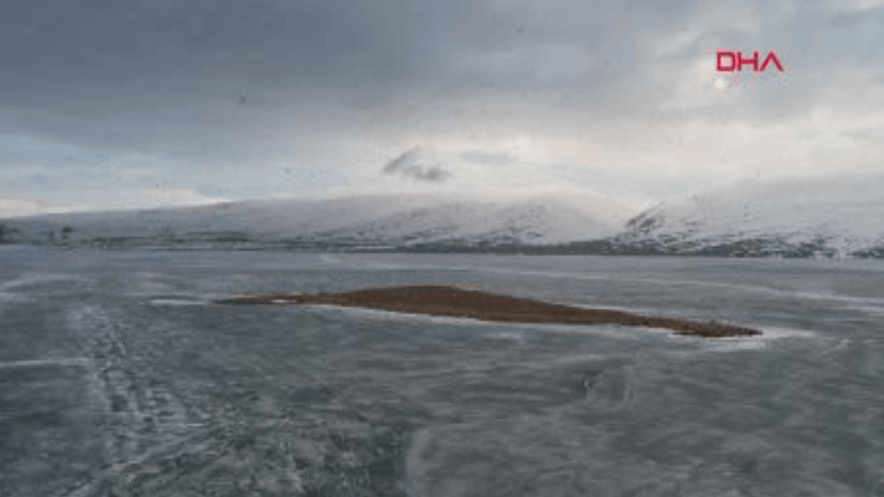 Çıldır Gölü kuşlarla doldu