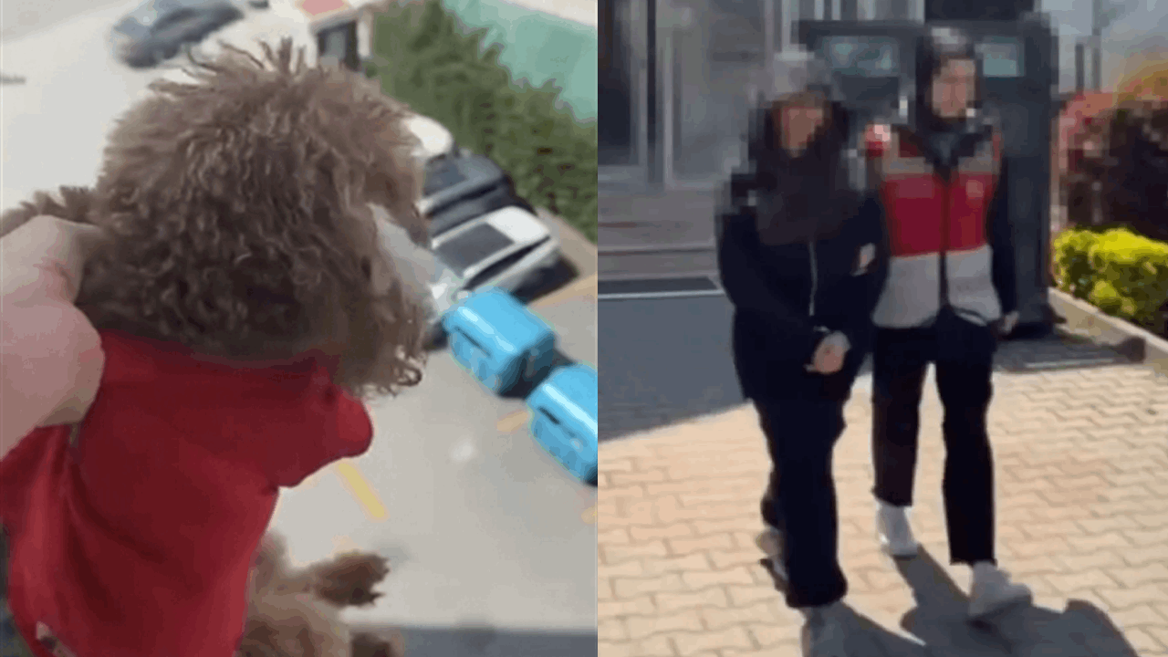 Köpeğine böyle eziyet etti: Cezasız kalmadı!
