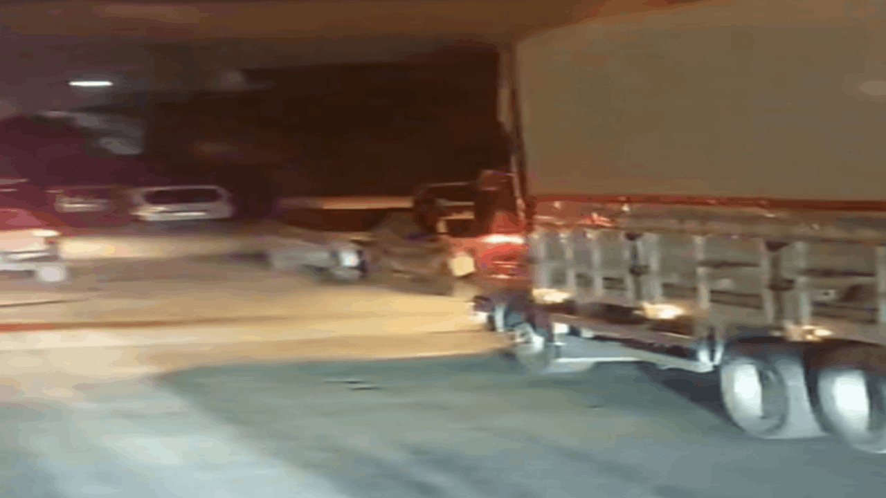 Kavga ettikleri kişileri araçla ezip öldürdüler!