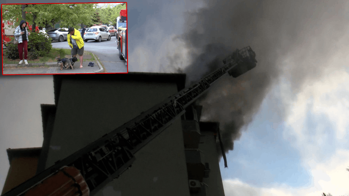 Engelli köpek yangında mahsur kaldı