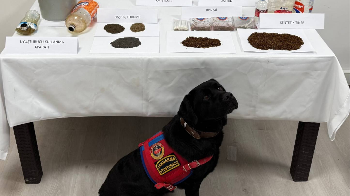 Tokat'ta uyuşturucu operasyonu; Çok sayıda gözaltı