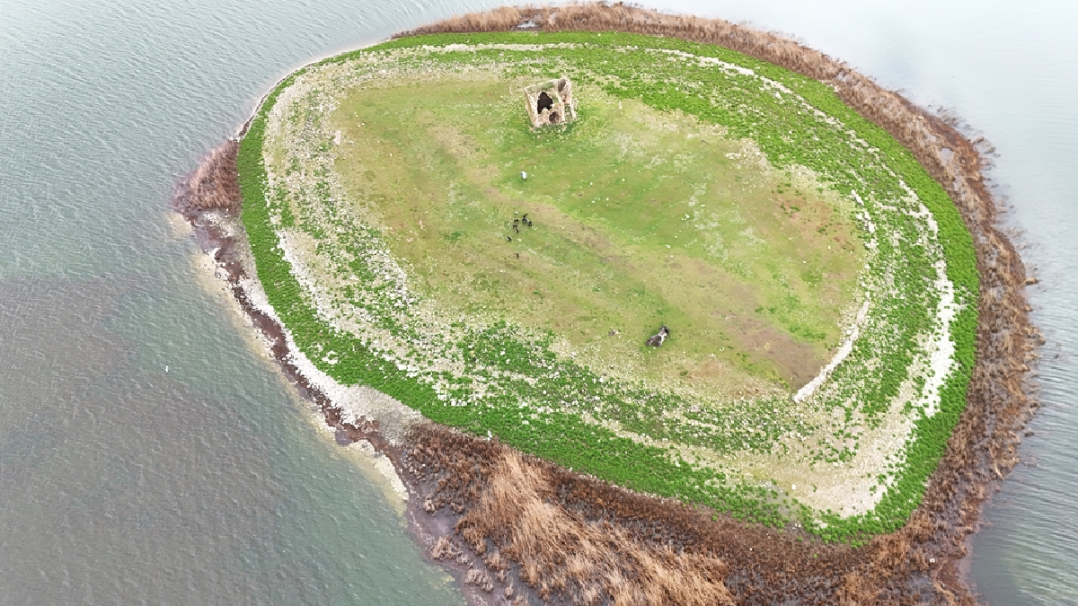 Türkiye'deki bu gölün ortasında 120 kişi yaşıyor: Tek bir yolu bile yok