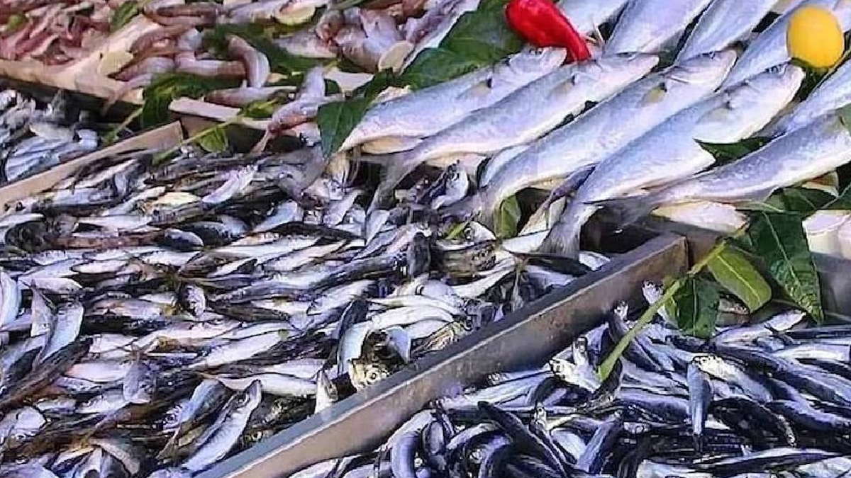 Kalbi yenileyen bu balığı haftada iki kez mutlaka yiyin