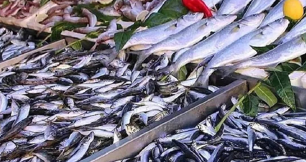 Kalbi yenileyen bu balığı haftada iki kez mutlaka yiyin