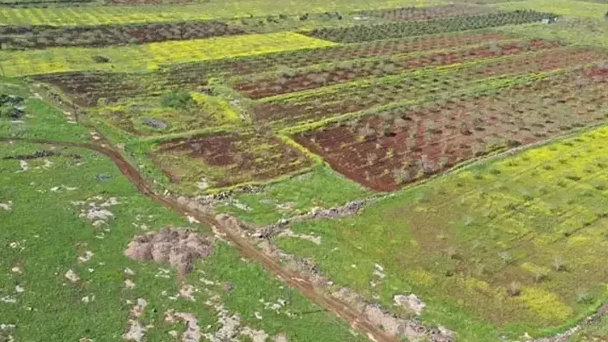 Japonlar ve Çinliler 2 ilçemize göz dikti: Yıllarca kazacaklar