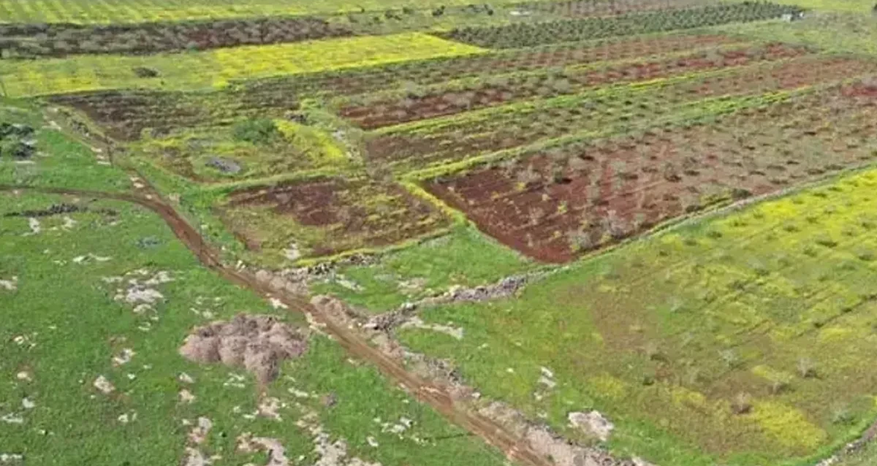 Japonlar ve Çinliler 2 ilçemize göz dikti: Yıllarca kazacaklar