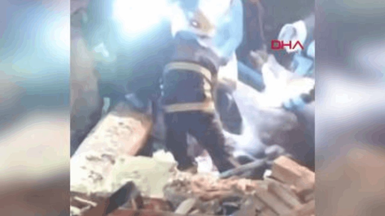 Kastamonu'da ahırın çatısı çöktü; 4 büyükbaş öldü