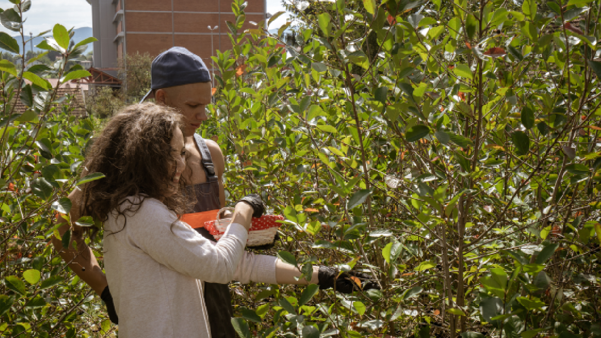 Polonya'nın hazinesi artık Türiye'de: İki ilde üretim üssü kuruldu