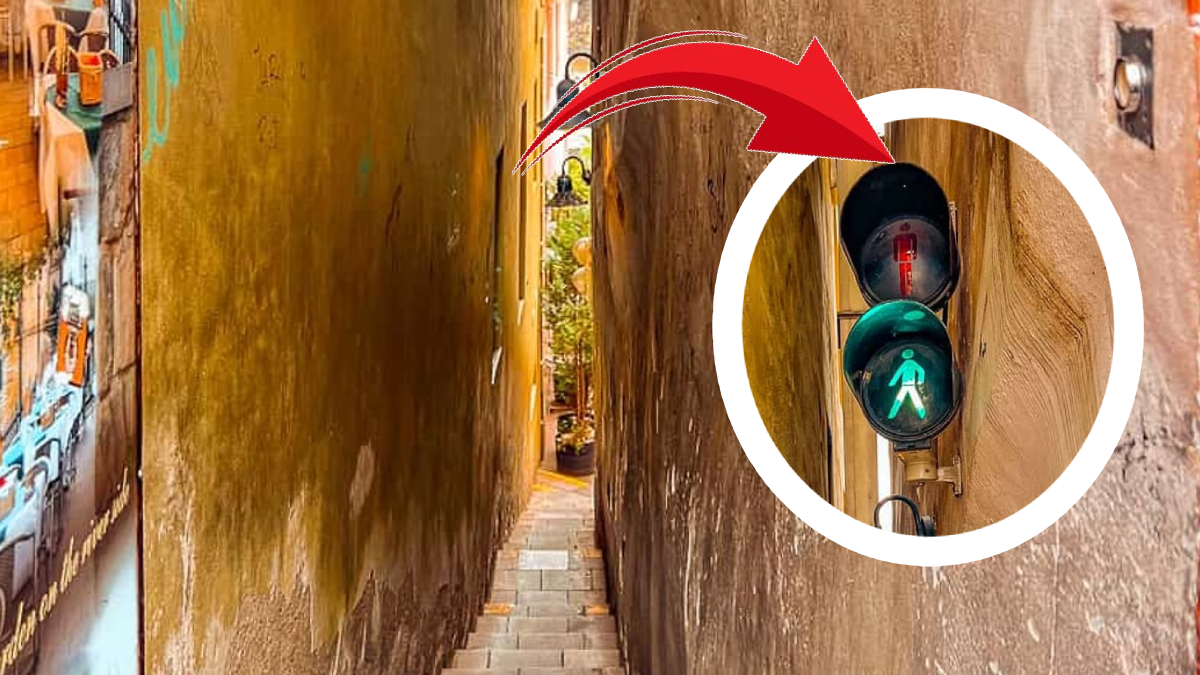 Bu sokakta iki kişiye yer yok: Trafik lambasıyla karşıdan karşıya geçiliyor