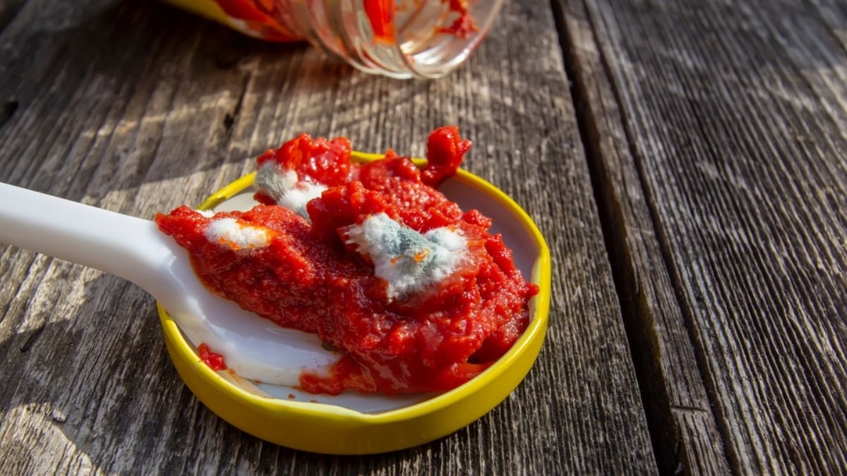 Salçayı aylarca küflendirmiyor: İçine bir tane bırakmanız yeterli