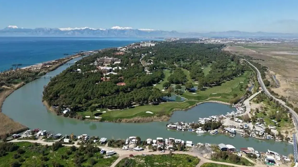 Sayıları 300'ü bulmuştu: Tebligat gönderildi, tek tek yıkılacak