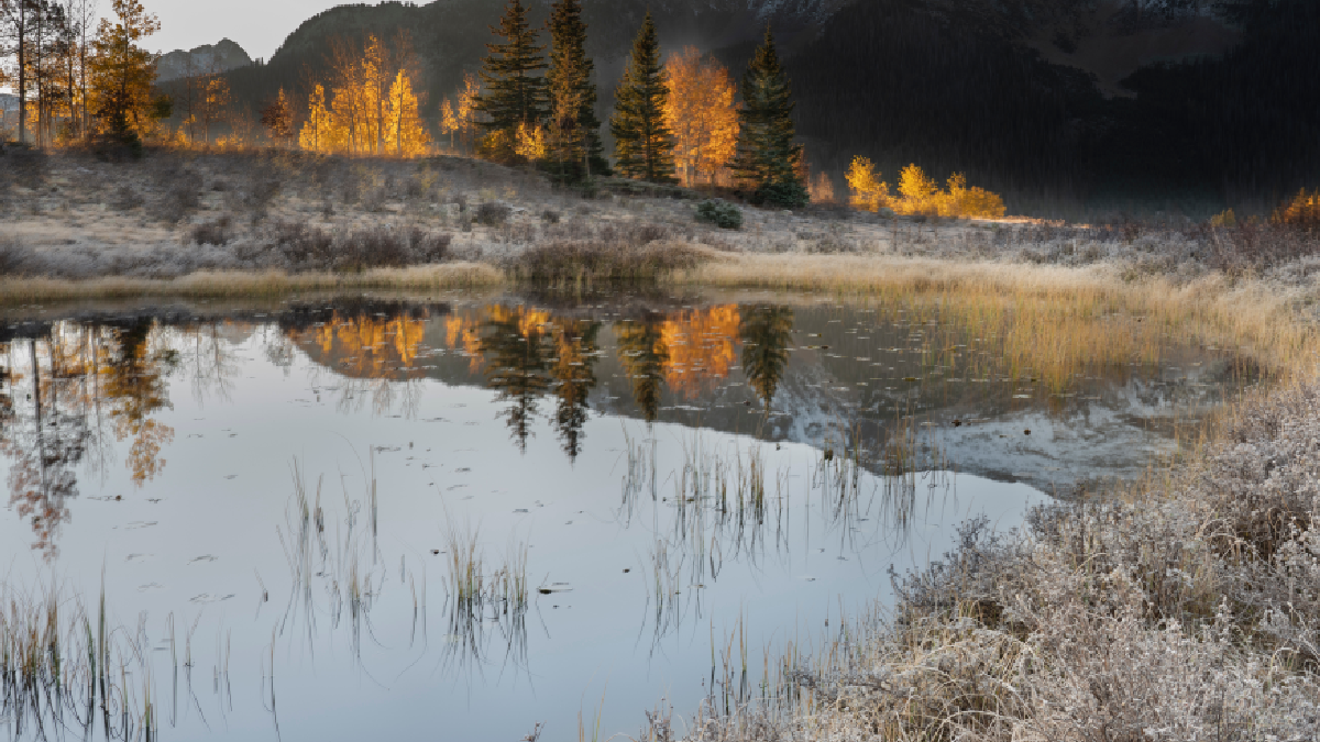 Bu göl -50 derece ama asla buz tutmuyor: İçine giren donmuyor
