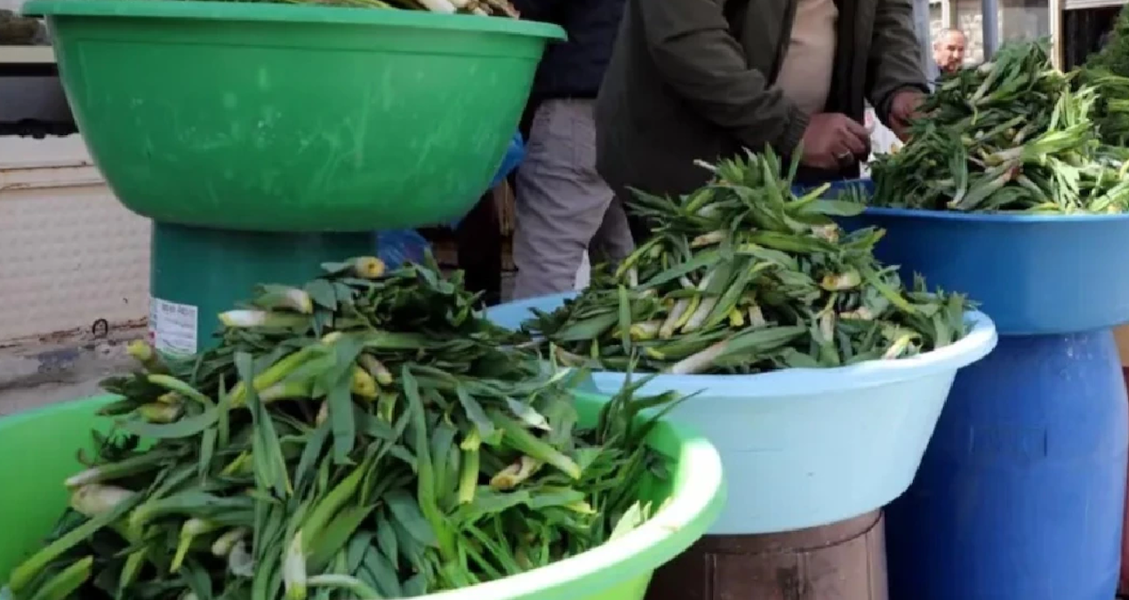 Tezgahlarda yerini aldı, kilosu 500 TL: Kapış kapış satılıyor