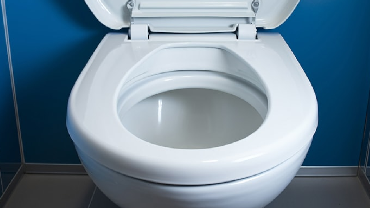 Her gün kullanıyoruz ama klozetten çok daha kirli