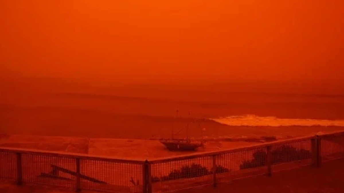 Türkiye'yi turuncuya boyayan tozların altından hazine çıktı