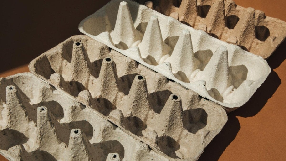 Yumurta kartonlarının gri olmasının sebebi ortaya çıktı