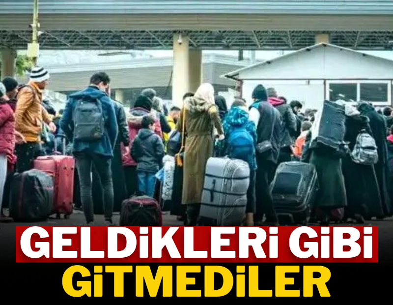 Geldikleri gibi gitmediler