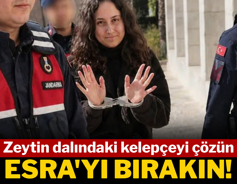 Zeytin dalındaki kelepçeyi çözün, Esra'yı bırakın
