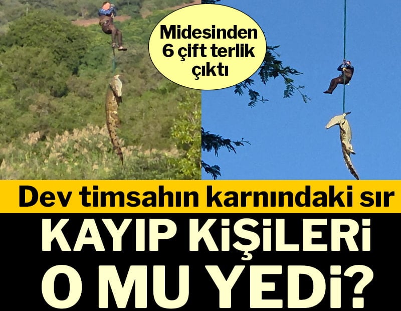 Dev timsahın karnındaki sır: Kayıp kişileri o mu yedi? Midesinden 6 çift terlik çıktı