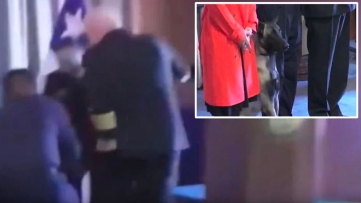 Narkotik köpeği tümamirale saldırdı: Cebinde ne vardı?
