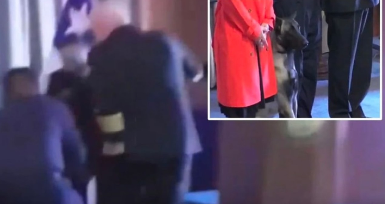 Narkotik köpeği tümamirale saldırdı: Cebinde ne vardı?