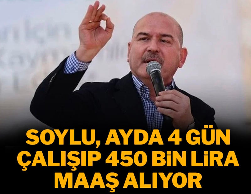 Soylu ayda 4 gün çalışıp 450 bin lira maaş alıyor