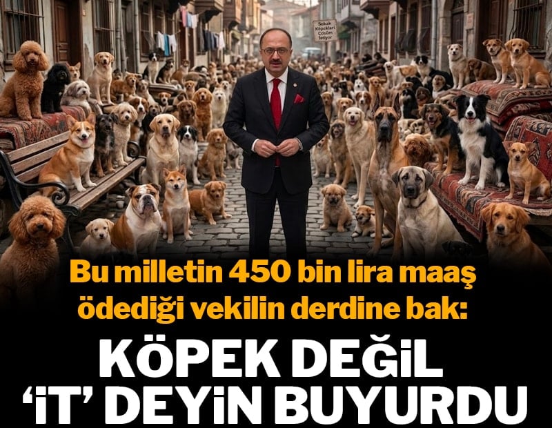 AKP'li vekil, 'köpek demeyin it deyin" buyurdu! Bu milletin 450 bin lira maaş ödediği vekilin derdine bakın...