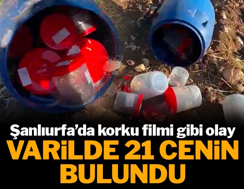 Korku filmi değil gerçek: Mezarlıkta varil içinde 21 adet cenin bulundu