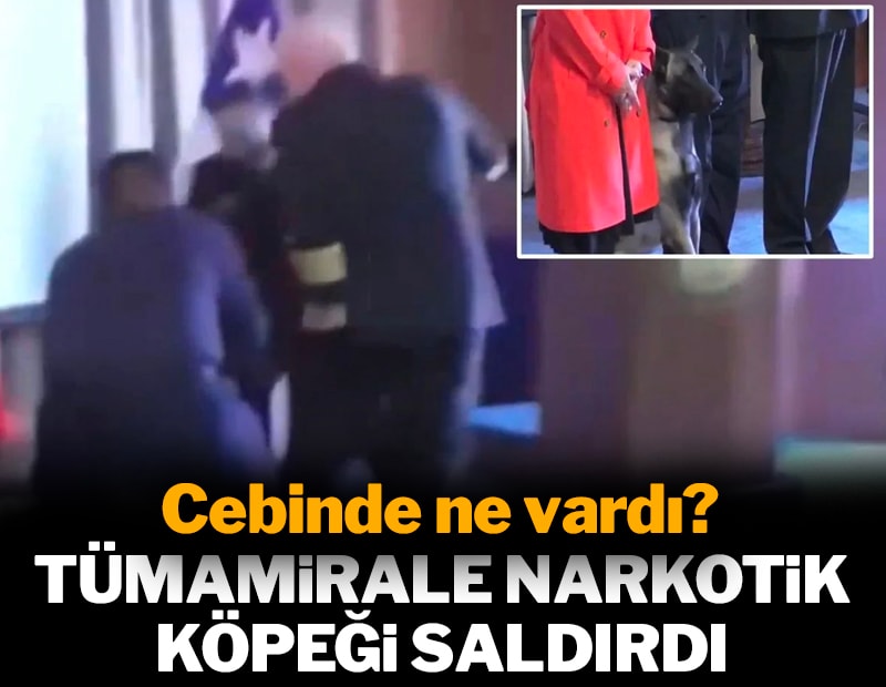 Narkotik köpeği tümamirale saldırdı: Cebinde ne vardı?