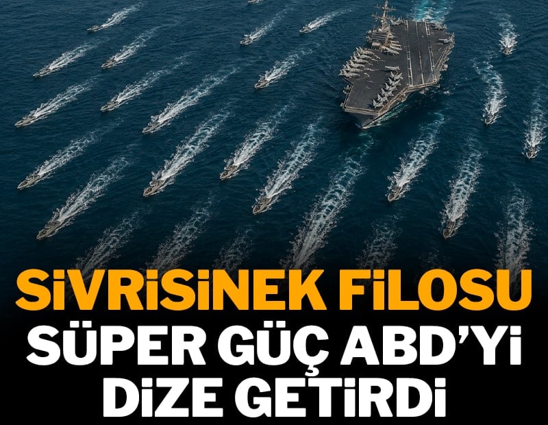 Sivrisinek filosu ABD'yi dize getirdi