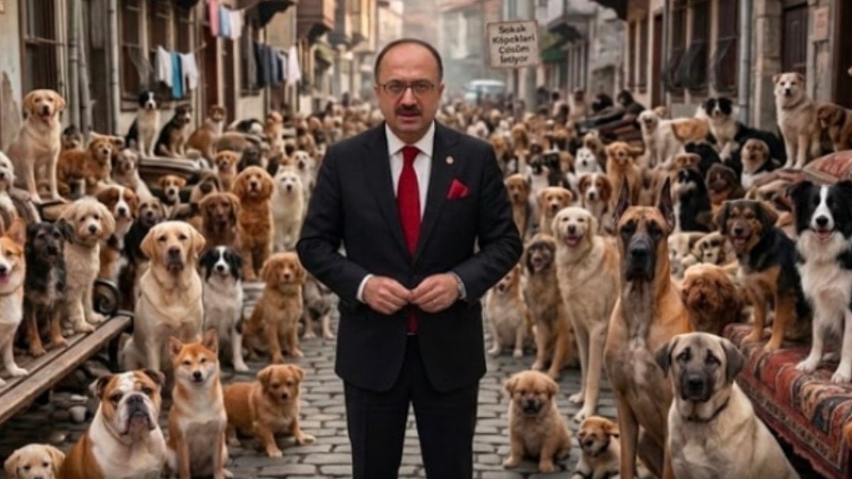 AKP'li vekil, 'köpek demeyin it deyin" buyurdu! Bu milletin 450 bin lira maaş ödediği vekilin derdine bakın...