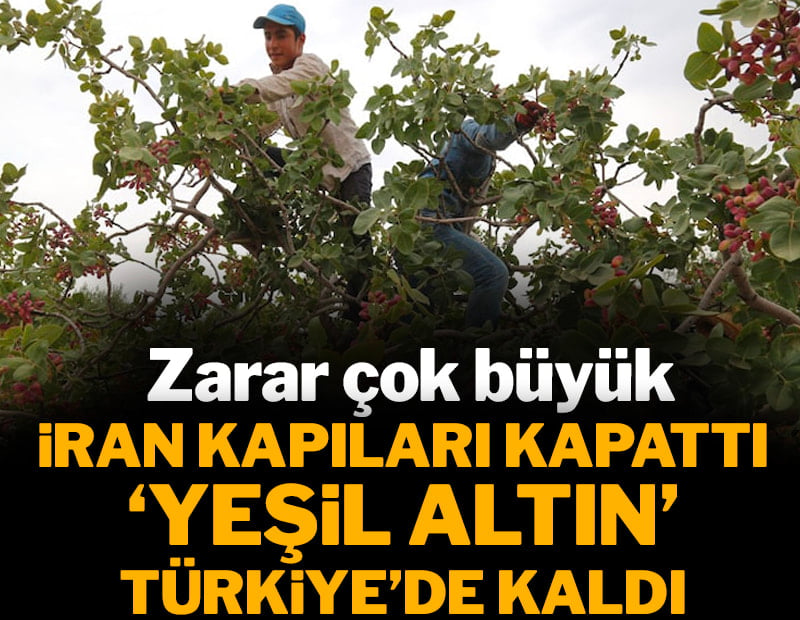 İran kapıları kapattı 'yeşil altın' Türkiye'de kaldı: Zarar çok büyük